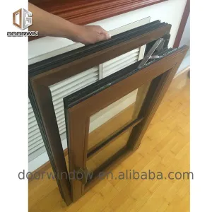 DOORWIN 2021New style wooden garage windows cottage pane window frames winter