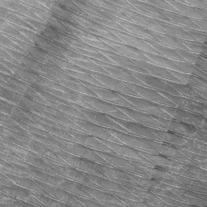 Gray Angel Striped Sheer Drapery Home Decor Fabric