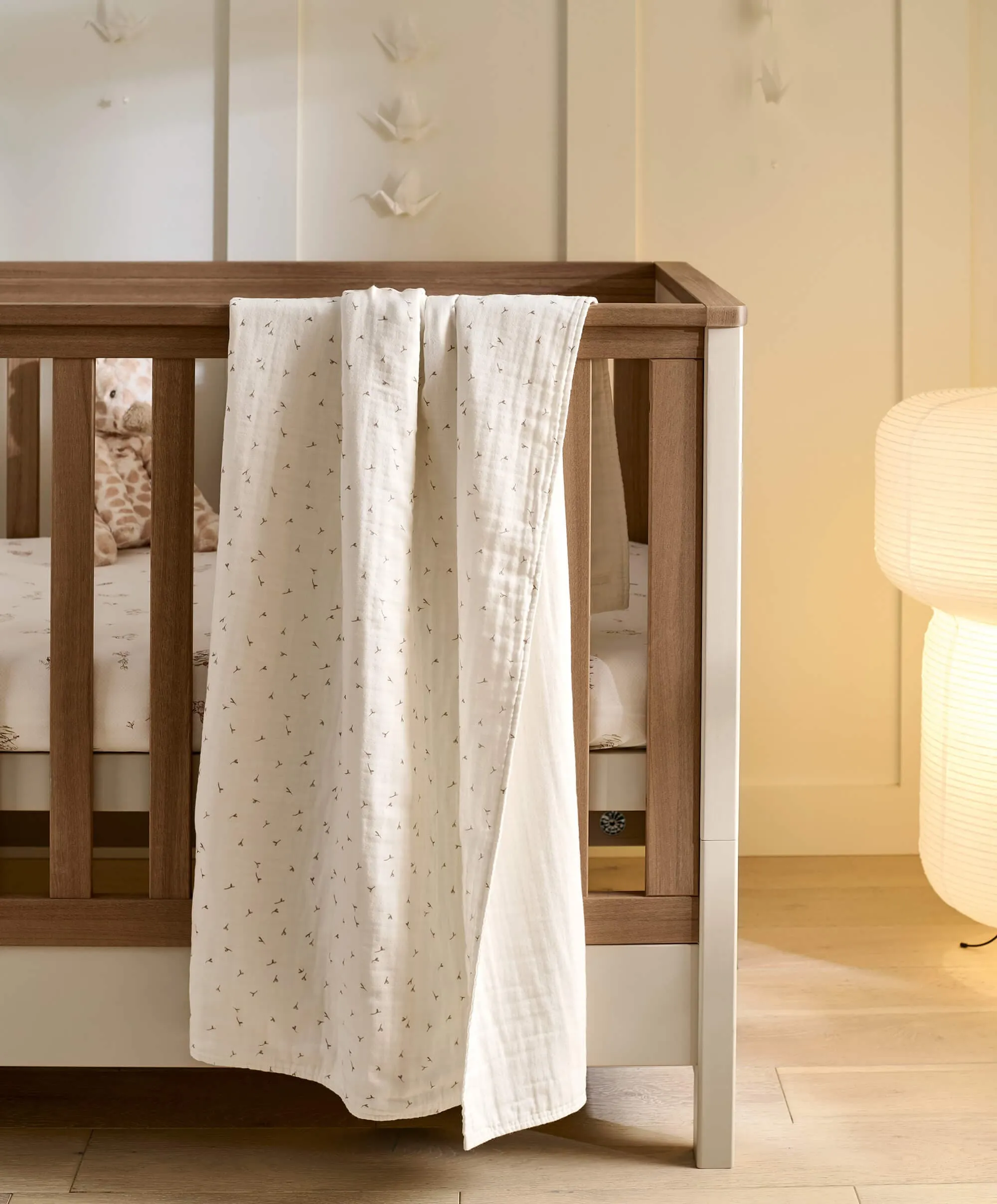 Muslin Blanket - Seed - Welcome to the World Seedling