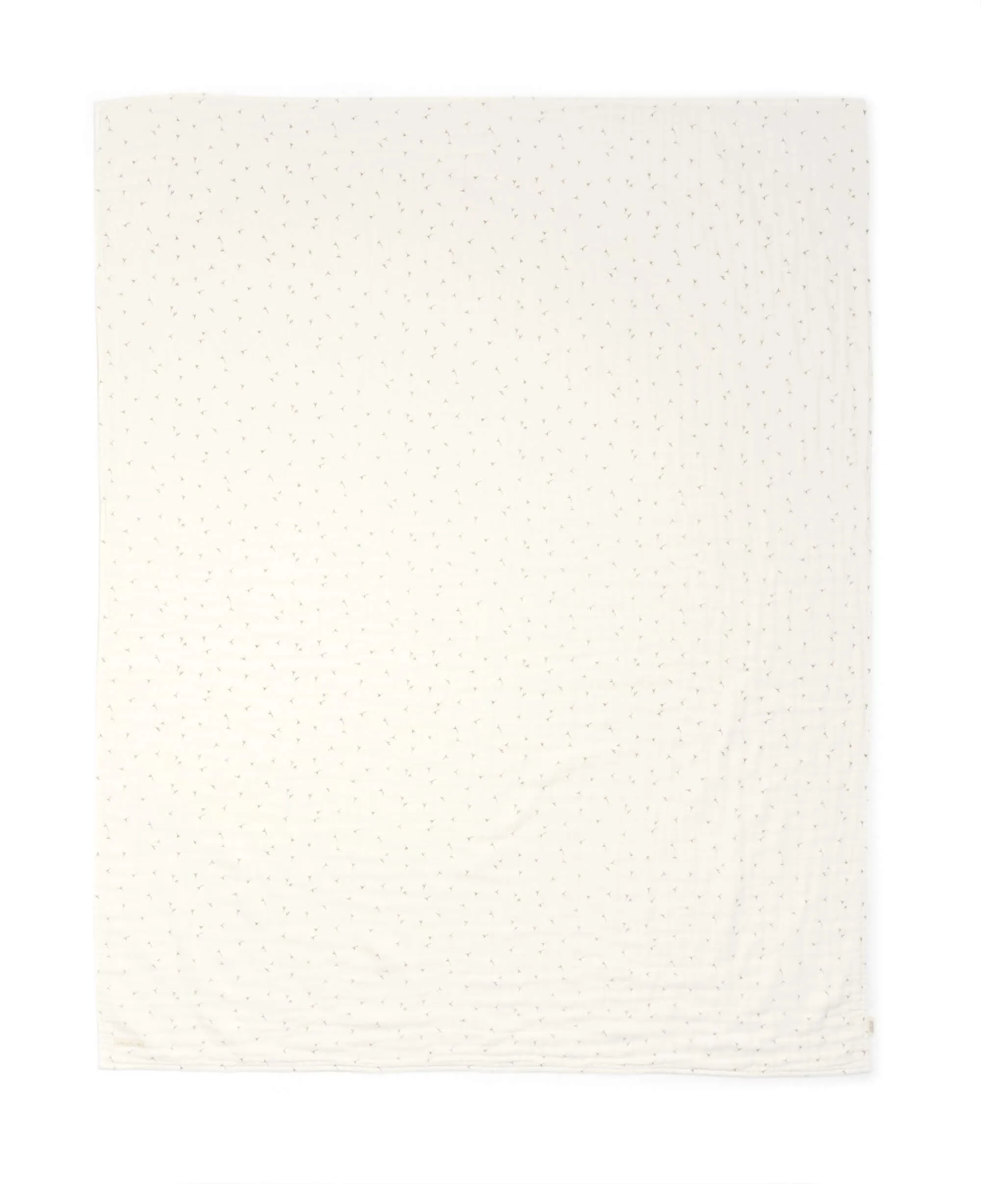 Muslin Blanket - Seed - Welcome to the World Seedling