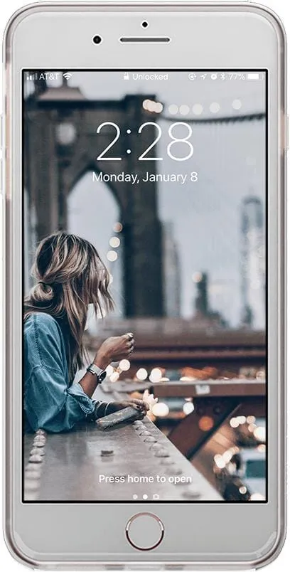 Take Me for Granite | White Marble Case